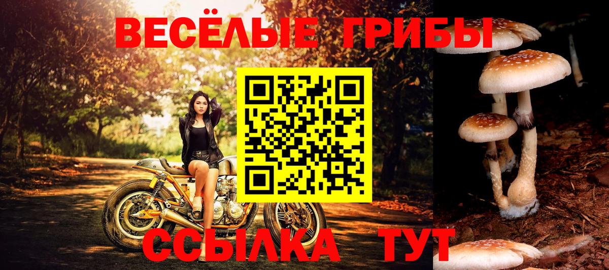 Галлюциногенные грибы мухоморы  Вход с VPN  Псилоцибиновые грибы Psilocybe  купить  сайты  Анапа 